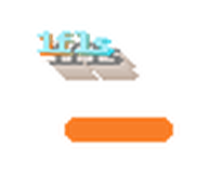 1fls logo